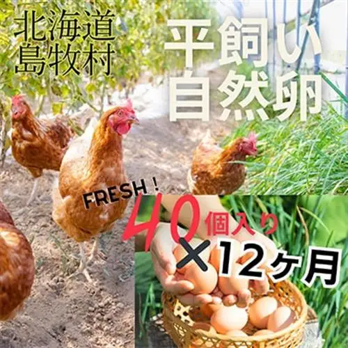 【毎月定期便】ハッピープレイスの自然卵【ハッピーコッコちゃんたまご】40個入り(全12回)【配送不可地域：離島】【4012332】