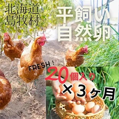 【毎月定期便】自然卵【ハッピーコッコちゃんたまご】20個入り(全3回)【配送不可地域：離島】【4012333】