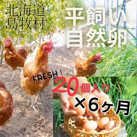 【毎月定期便】自然卵【ハッピーコッコちゃんたまご】20個入り(全6回)【配送不可地域：離島】【4012334】