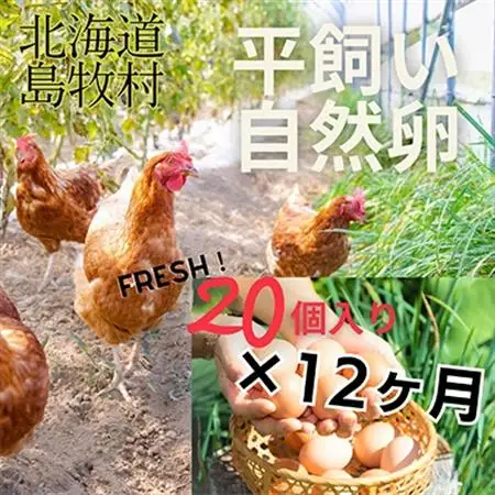 【毎月定期便】自然卵【ハッピーコッコちゃんたまご】20個入り(全12回)【配送不可地域：離島】【4012335】