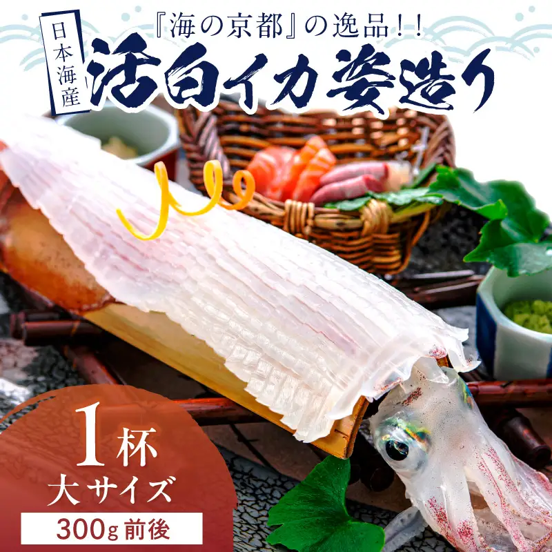 日本海産『海の京都』の逸品！！　活白イカ姿造り（クリスタル白いか）大サイズ 1杯（300g前後）（2027年6月上旬～発送） ふるさと納税 海鮮 鮮度抜群 新鮮 海鮮 いか イカ 簡単調理 生産者応援 送料無料 生食 魚介類 活イカ 日本海産 刺身 BBQ 美味 逸品
