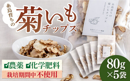糸島 育ちの 菊いも チップス 80g×5袋 糸島市 / 糸島ボンテール農園 [ACO006] 菊芋 スーパーフード