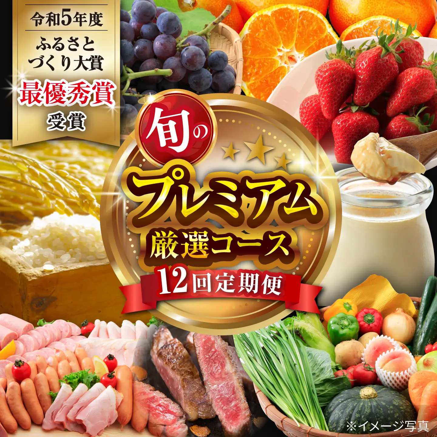 バラエティ定期便【12回】プレミアム厳選コース[ACAA126]