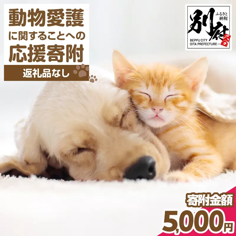 【返礼品なし】動物愛護に関することへの応援寄附(5,000円)_B001-043