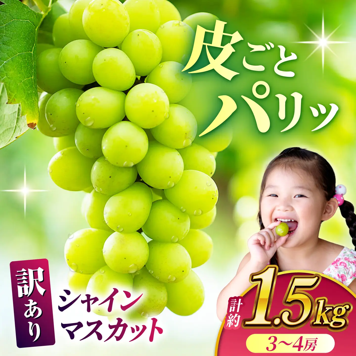 【訳あり】 シャインマスカット 約1.5kg(3～4房)【合同会社 社方園】[ZBZ030]