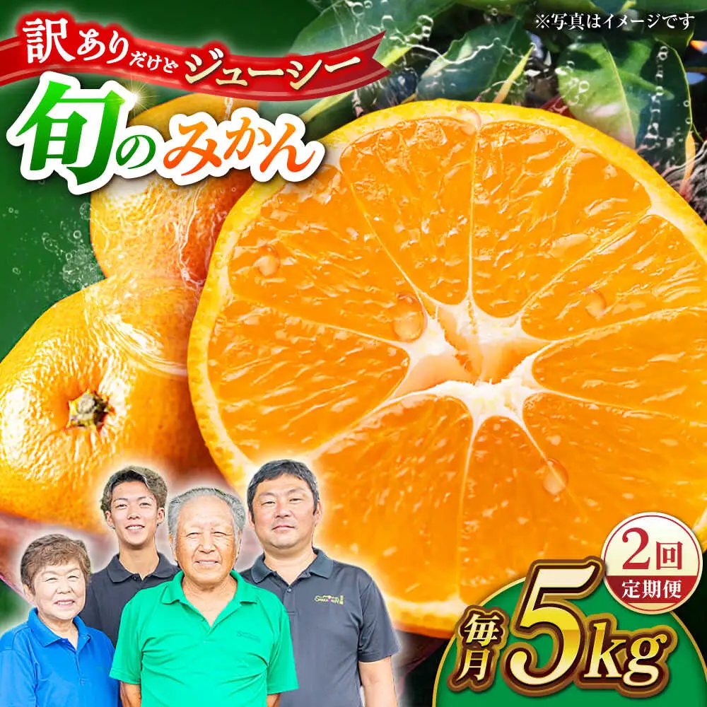 【先行予約】【2回定期便】【訳あり】家庭用 みかん 約5kg 詰め合わせ 柑橘【合同会社 社方園】[ZBZ034]