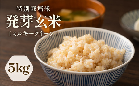 【令和7年産】発芽玄米 特別栽培米 ミルキークイーン 真空パック 5kg 米 玄米 ギャバ [B-2970]