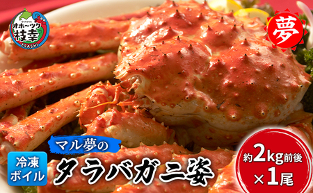 マル夢のタラバガニ姿 約2kg前後×1尾【冷凍ボイル】【 枝幸産 毛ガニ 蟹 かに カニ 北海道 オホーツク 枝幸 】