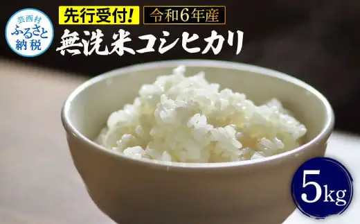 先行予約 令和7年産 無洗米コシヒカリ5キロ 