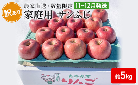 りんごサンふじ農家直送 訳あり家庭用 青森県産 りんご【約5kg】