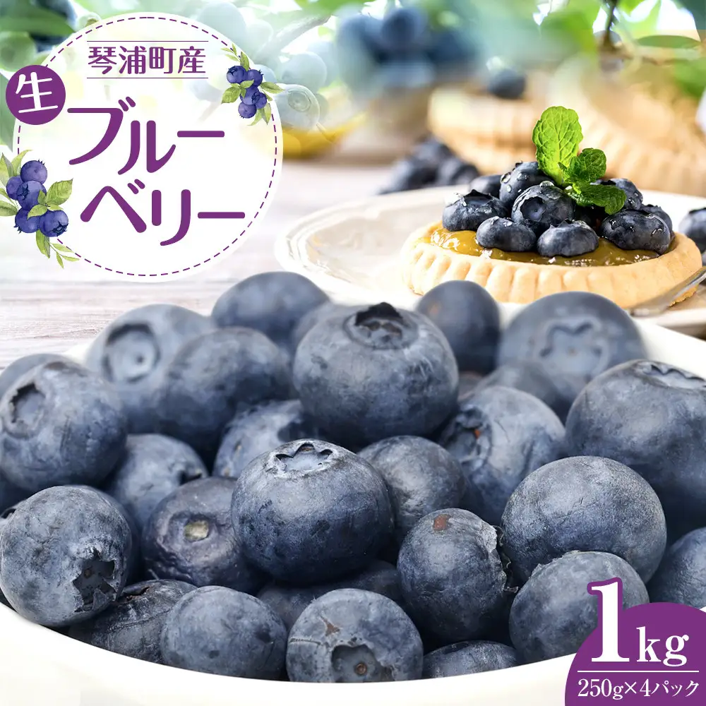 ブルーベリー 先行予約 2026年6月下旬以降発送 琴浦町産 生ブルーベリー１kg（250g×4パック）