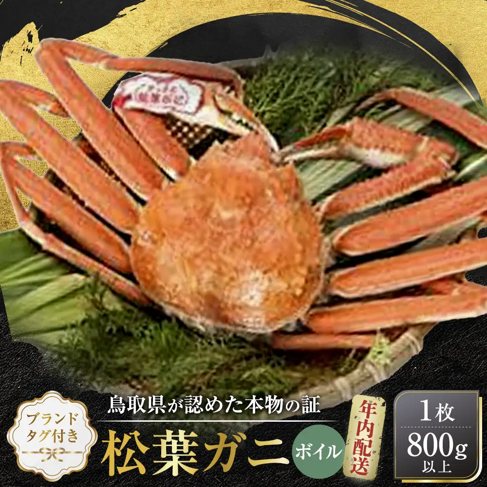 【先行予約】ブランドタグ付き 松葉ガニ（ボイル）1枚（800g以上）【年内配送】| 松葉ガニ