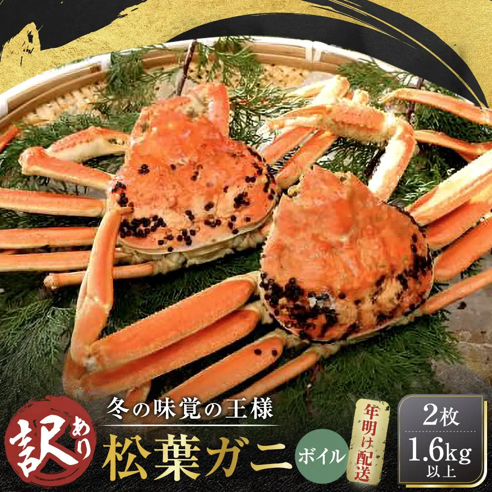 松葉がに 訳アリ ボイル 2枚
