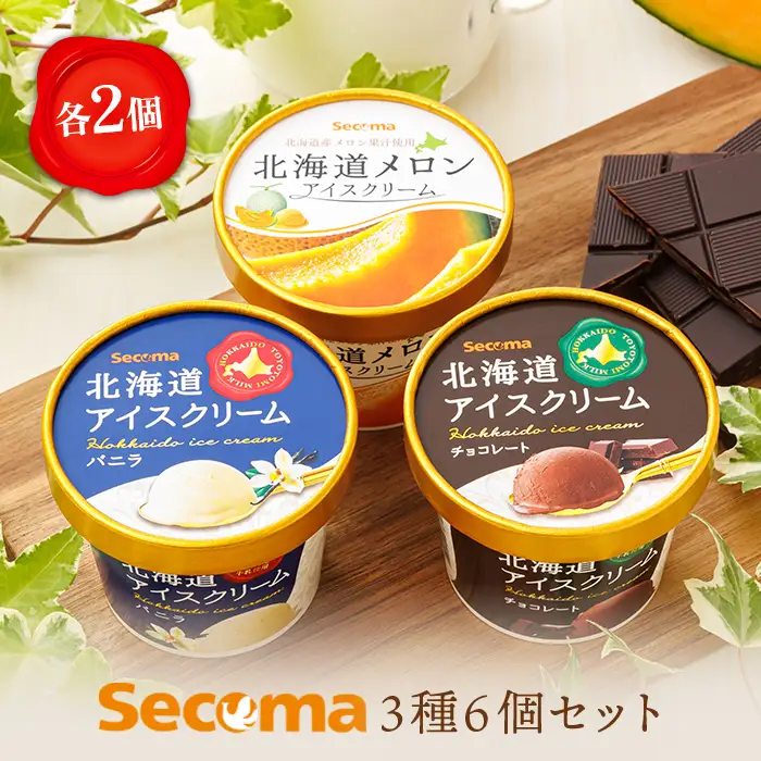 【Secoma】北海道アイスクリーム6個セット 3種×各2個（バニラ・メロン・チョコ） アイス  ふるさと納税 北海道 アイス 食べ比べ セット オンライン申請 オンライン バニラ メロン チョコ アイス 羽幌町 羽幌【01106】