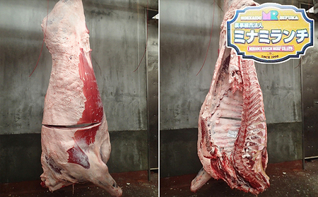牛肉エアリアルビーフ1頭分フルセット北海道美深産牛肉【約300kg】
