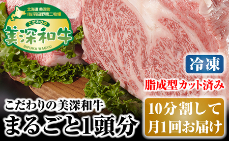 和牛美深和牛10分割月1回お届け 北海道産 和牛【1頭分】【冷凍 定期便】