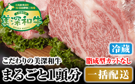 和牛美深和牛成型脂カットなし 北海道産 和牛【1頭分】【冷蔵】
