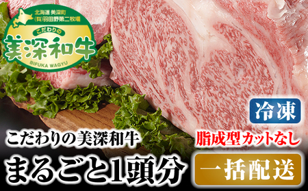 和牛美深和牛成型脂カットなし 北海道産 和牛【1頭分】【冷凍】