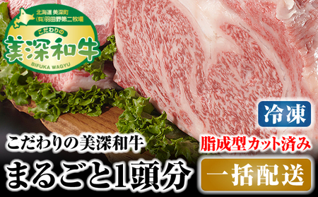 和牛美深和牛成型脂カットあり 北海道産 和牛【1頭分】【冷凍】