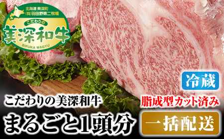 和牛美深和牛成型脂カットあり 北海道産 和牛【1頭分】【冷蔵】