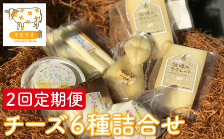 チーズ詰合せ 北ぎゅう舎乳製品 北海道産 チーズ詰合せ【6種】【2回定期便】