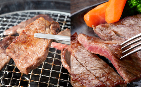 牛肉セット エアリアルビーフ 焼肉・ステーキ 北海道産 牛肉セット【焼肉750gステーキ400g】