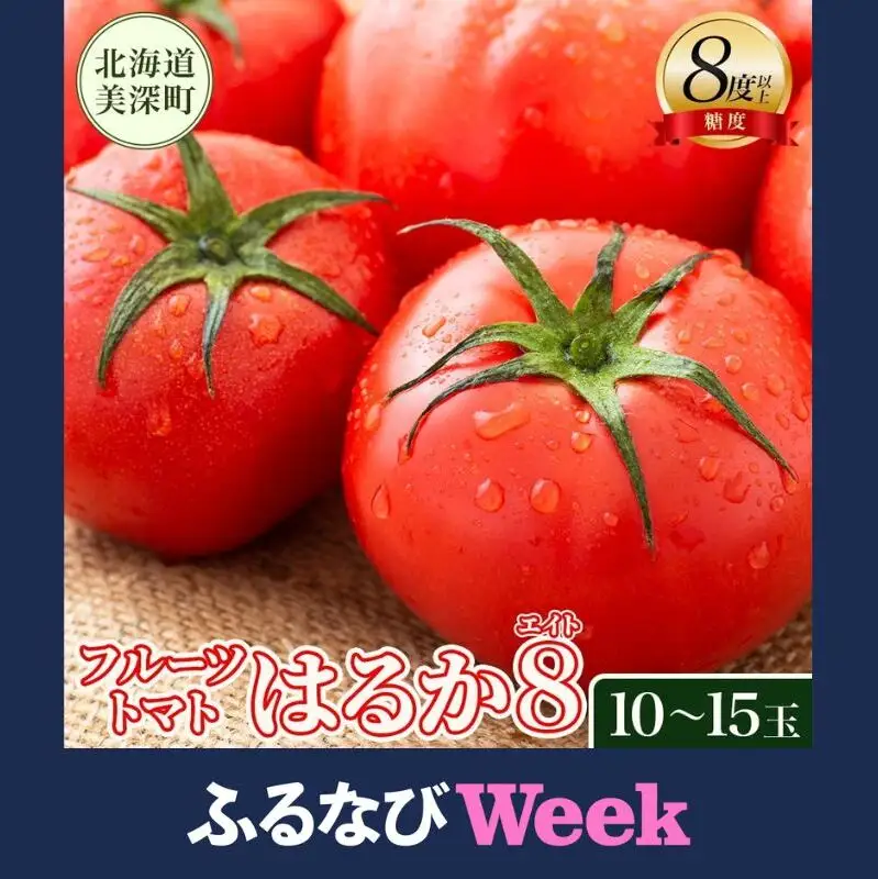 【ふるなびWEEK対象】【2026年発送】 糖度8度以上 フルーツトマト はるか8（エイト） 10～15玉 トマト 野菜 夏 野菜 旬 甘い 濃厚 果物 フルーツ 高糖度 新鮮 産地直送 北海道 美深町 8,880円