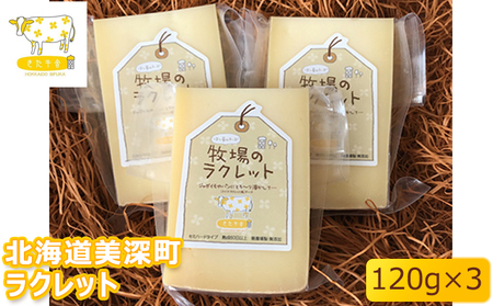 北海道美深町 ラクレット120g×3【北ぎゅう舎】 加工食品 乳製品 チーズ 