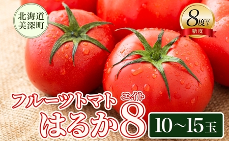 【2026年発送】 糖度8度以上 フルーツトマト はるか8（エイト） 10～15玉 トマト 野菜 夏 野菜 旬 甘い 濃厚 果物 フルーツ 高糖度 新鮮 産地直送 北海道 美深町