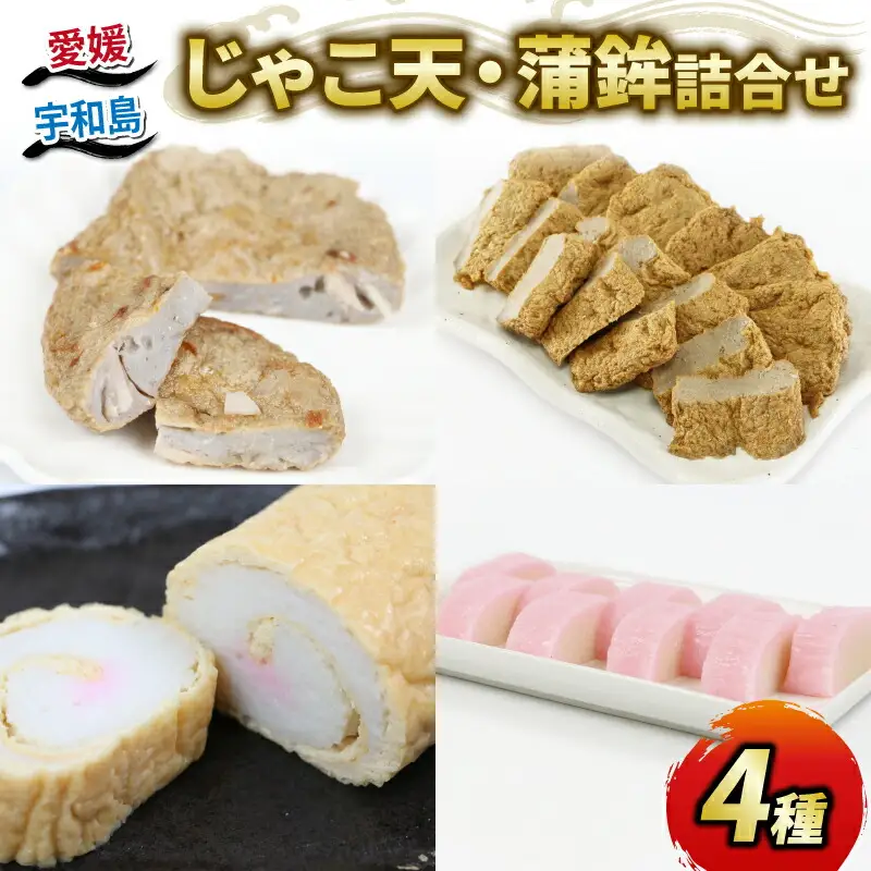 練り物 4種詰合せ 野中かまぼこ店 練り物 C020-014004