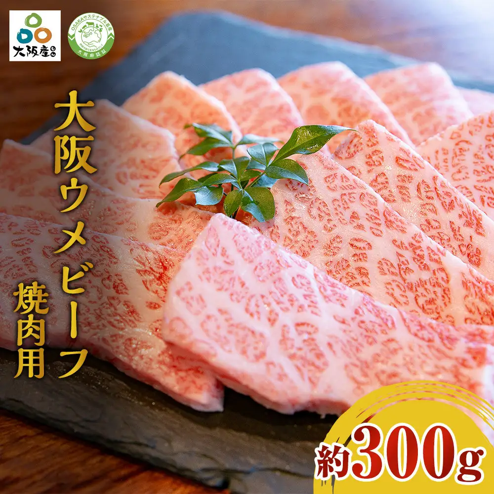 大阪ウメビーフ　焼肉用300g