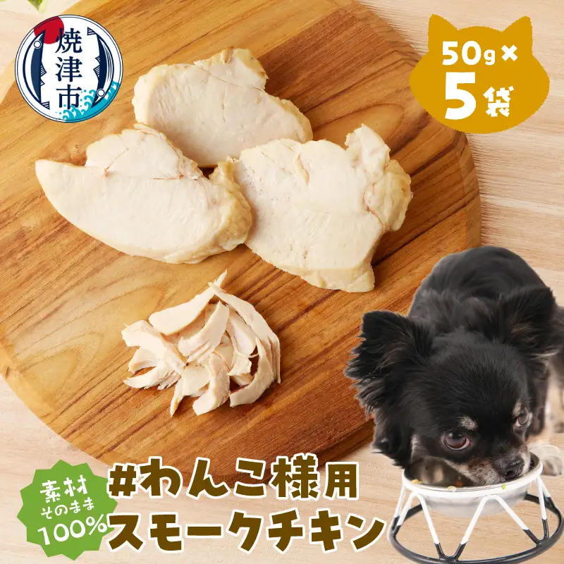 わんこ様用5点セット (a11-220)
