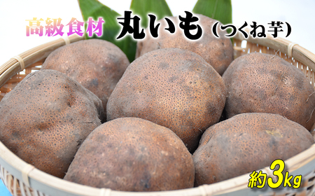 【2026年産】ねばりが凄い！高級食材「丸いも」（つくね芋）約3kg 青森県産