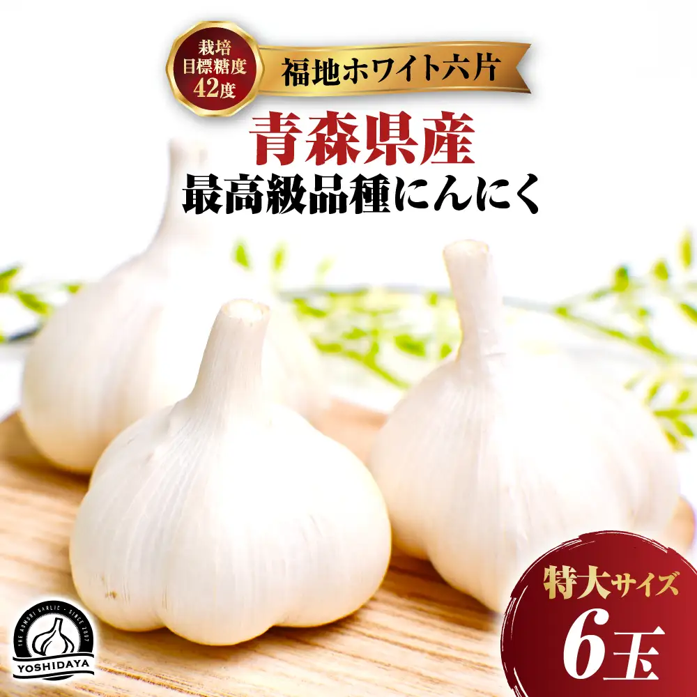 青森県産にんにく 特大サイズ ６玉 福地ホワイト にんにく