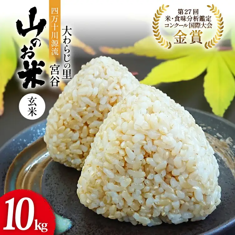 大わらじの里 宮谷 山のお米 玄米 10kg