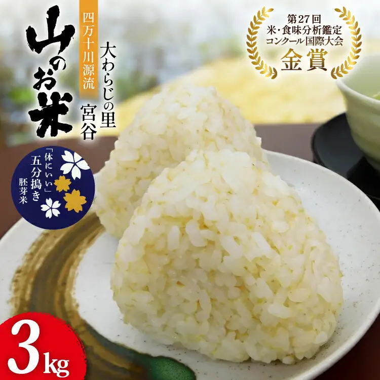 米 大わらじの里 宮谷 山のお米 五分搗き 胚芽米 3kg