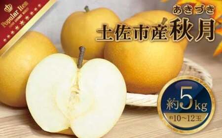 【先行予約】高知県土佐市産 梨（秋月）約5kg 10〜12玉 〈2026年9月10日頃〜9月30日頃発送〉 あきづき なし ナシ 5キロ 国産 フルーツ 果物 くだもの デザート スイーツ 旬 甘い 果汁たっぷり ジューシー【株式会社とさもん】[BQAE021]
