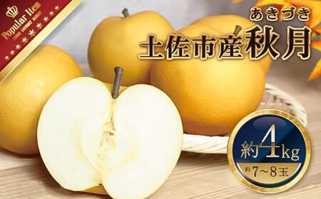 【先行予約】高知県土佐市産 梨（秋月）大玉 約4kg 7〜8玉 〈2026年9月10日頃〜9月30日頃発送〉 あきづき なし ナシ 4キロ 国産 フルーツ 果物 くだもの デザート スイーツ 旬 甘い 果汁たっぷり【株式会社とさもん】[BQAE020]