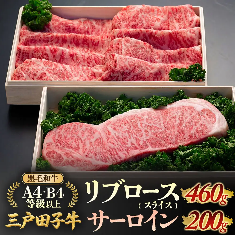 国産和牛 リブロース 460g & サーロイン 200g 黒毛和牛 「三戸・田子牛」
