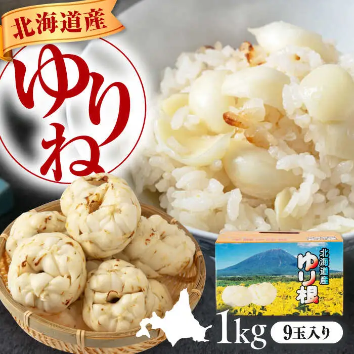 【11月中旬以降順次発送】ゆり根 1kg ( 9玉・ギフト箱入り) [AJAK018]