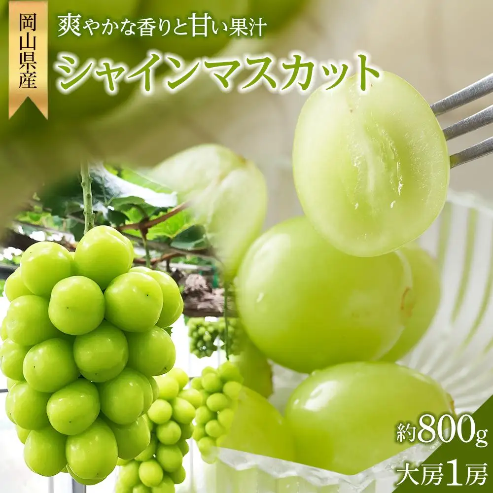 シャインマスカット 大房1房 約800g 贈答用 ｜ シャインマスカット