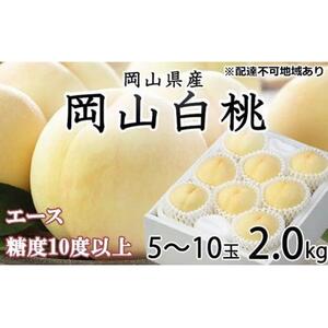 2026年  岡山   白 桃   エース 5～10玉 約2kg JAおかやま（早生種・中生種） ｜  桃