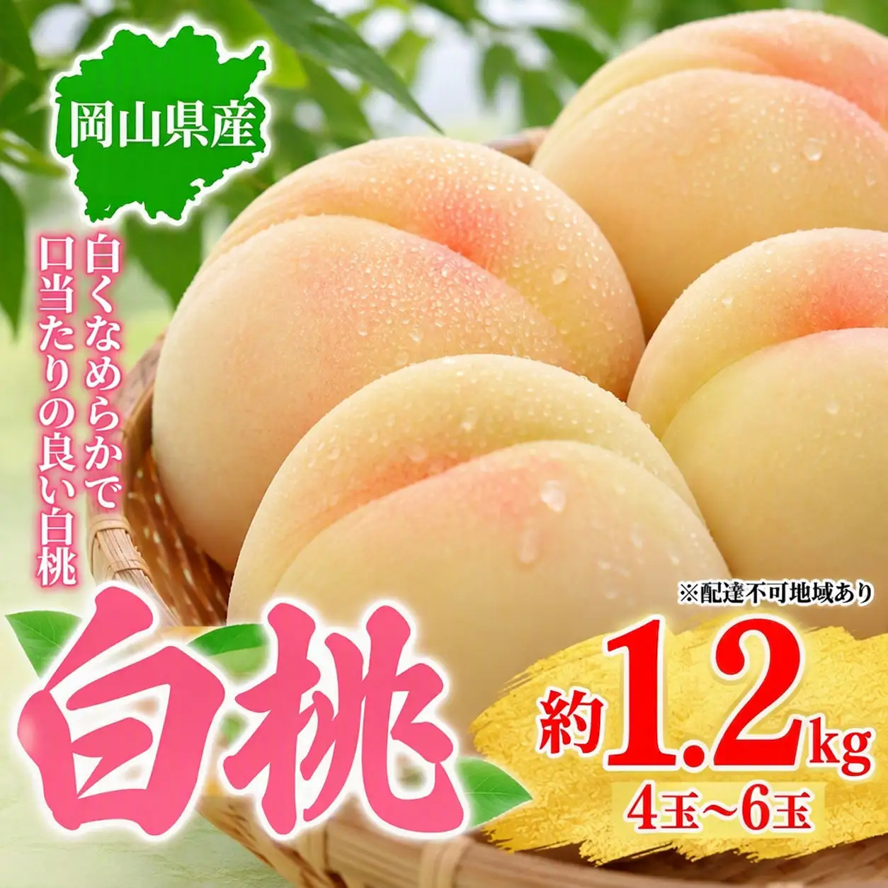 桃 2027年先行予約 岡山県産 白桃 約1.2kg 4～6玉 お届け 7月上旬～7月下旬