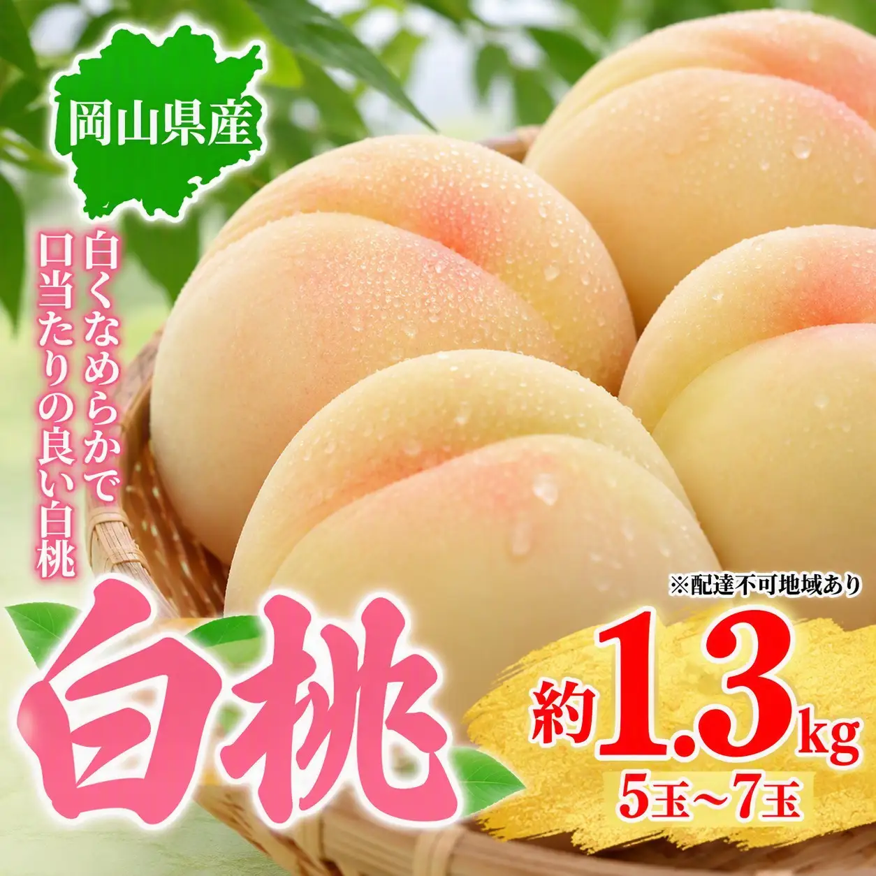 桃 2027年先行予約 岡山県産 白桃 約1.3kg 5～7玉 お届け 7月上旬～7月下旬