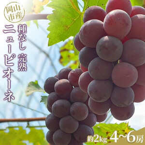 ぶどう 2026年 種なし完熟 ニューピオーネ 約2kg（4～6房）岡山市産 渡邊農園