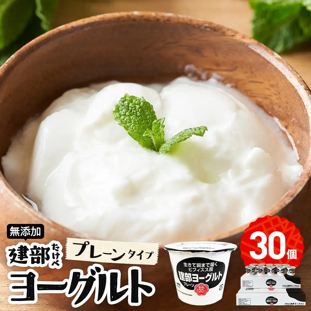 無添加　建部 ヨーグルト （プレーンタイプ） 30個 | ヨーグルト