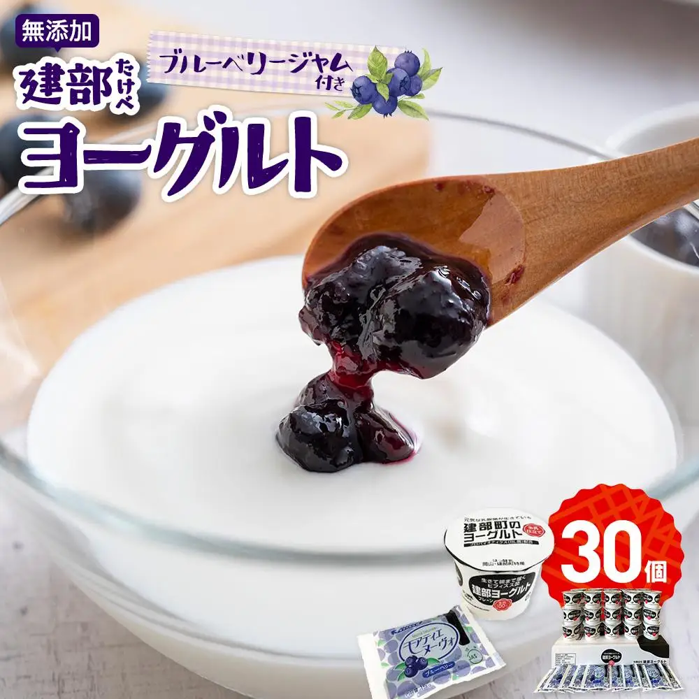 無添加　建部 ヨーグルト （ブルーベリージャム付き） 30個 | ヨーグルト