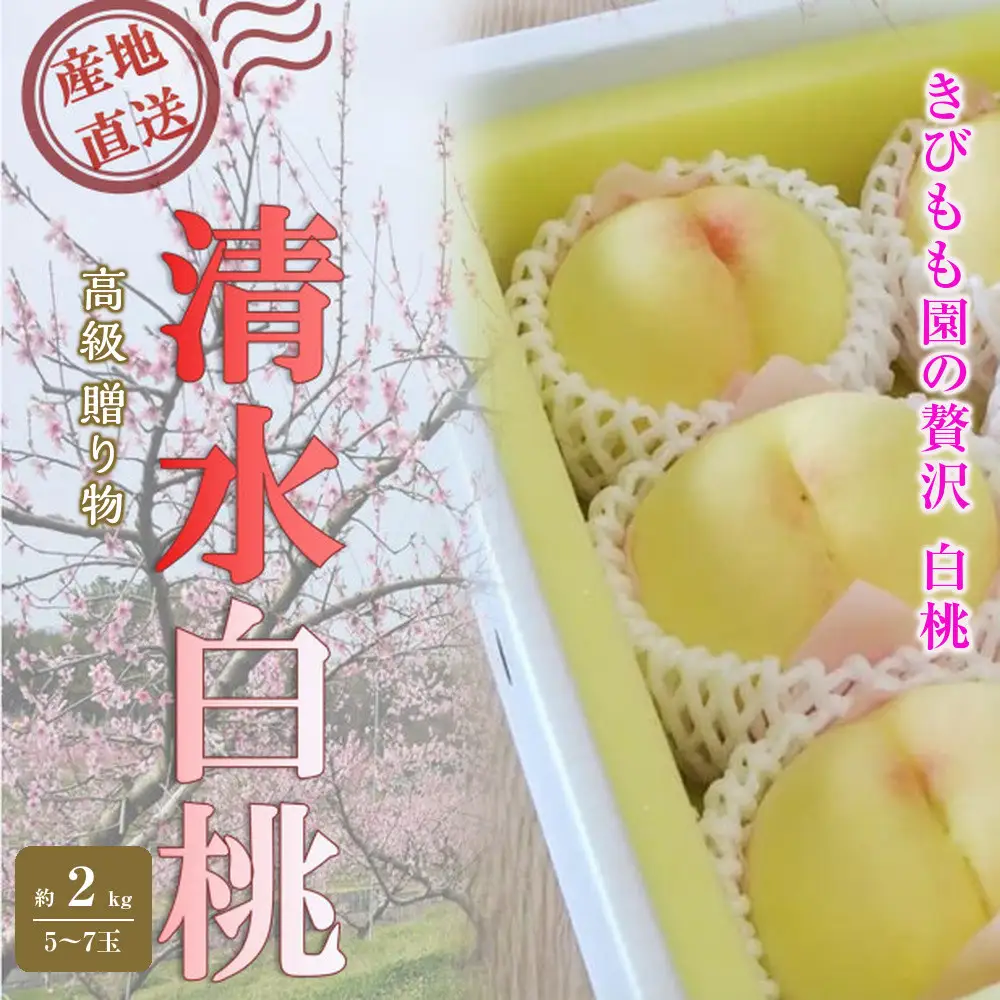 桃 2027年 贈答用 岡山 清水 白桃  約2kg（5～7玉） もも 