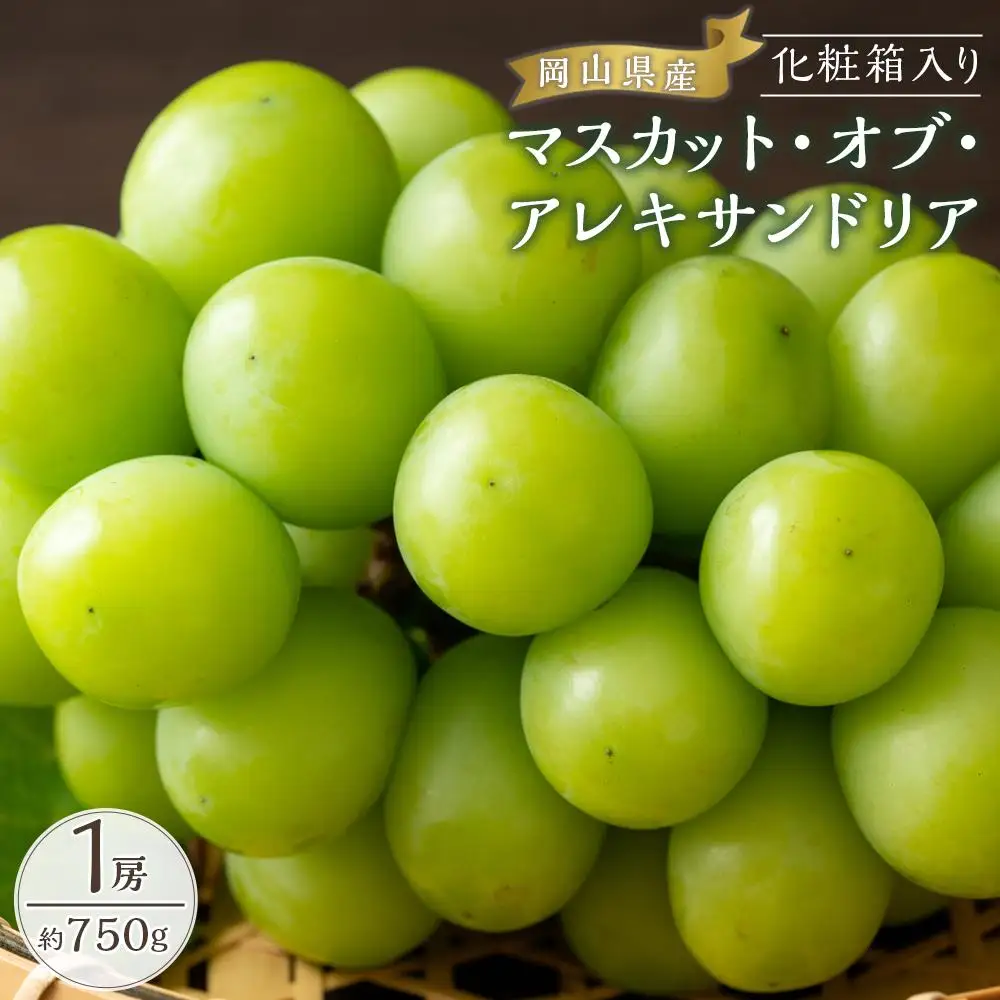 ぶどう 2026年  マスカット・オブ・アレキサンドリア 1房約750g 化粧箱入り ぶどう 葡萄  岡山県産 国産 フルーツ 果物 ギフト