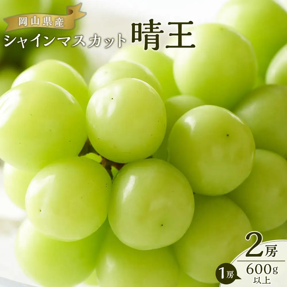 ぶどう 2026年  シャインマスカット 晴王 2房（1房600g以上） シャインマスカット 葡萄  岡山県産 国産 フルーツ 果物 ギフト